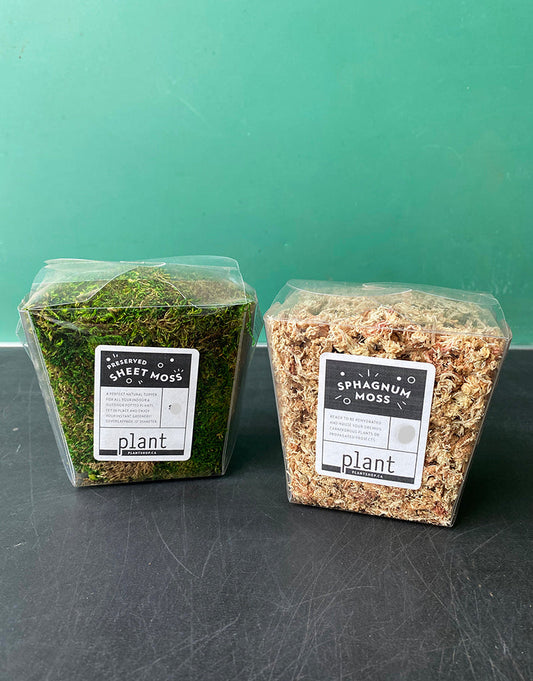 Sphagnum Moss